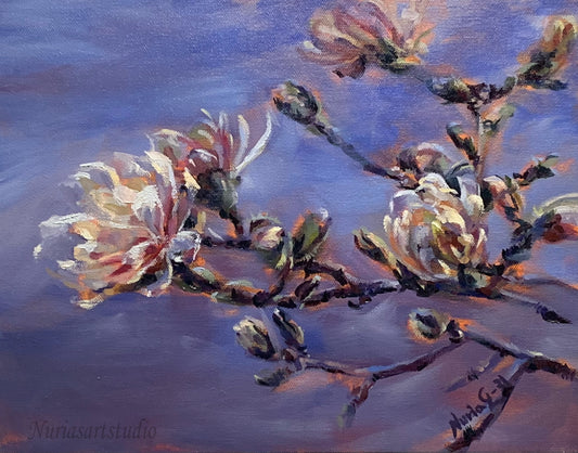 Magnolias