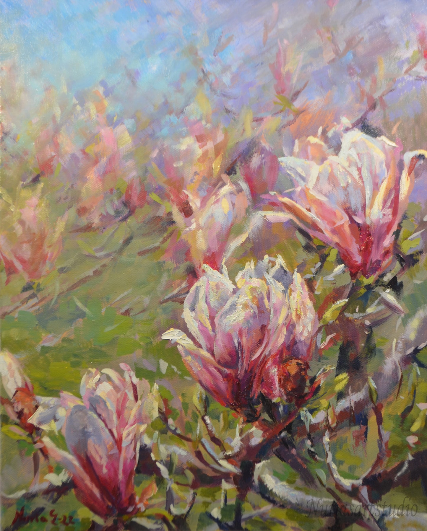 Magnolias in bloom