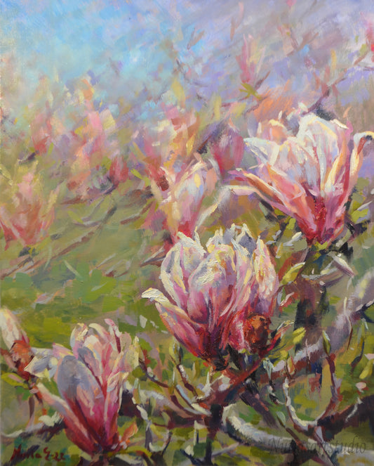 Magnolias in bloom