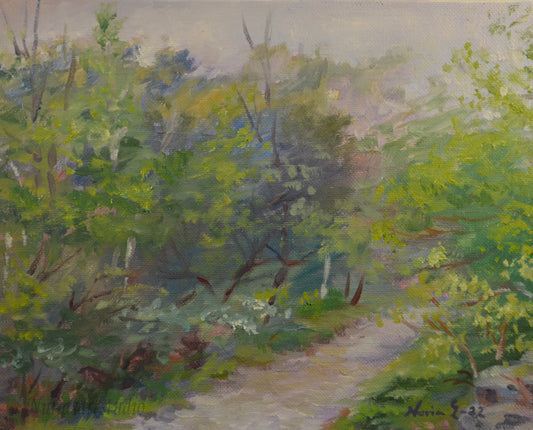 Misty Shadows