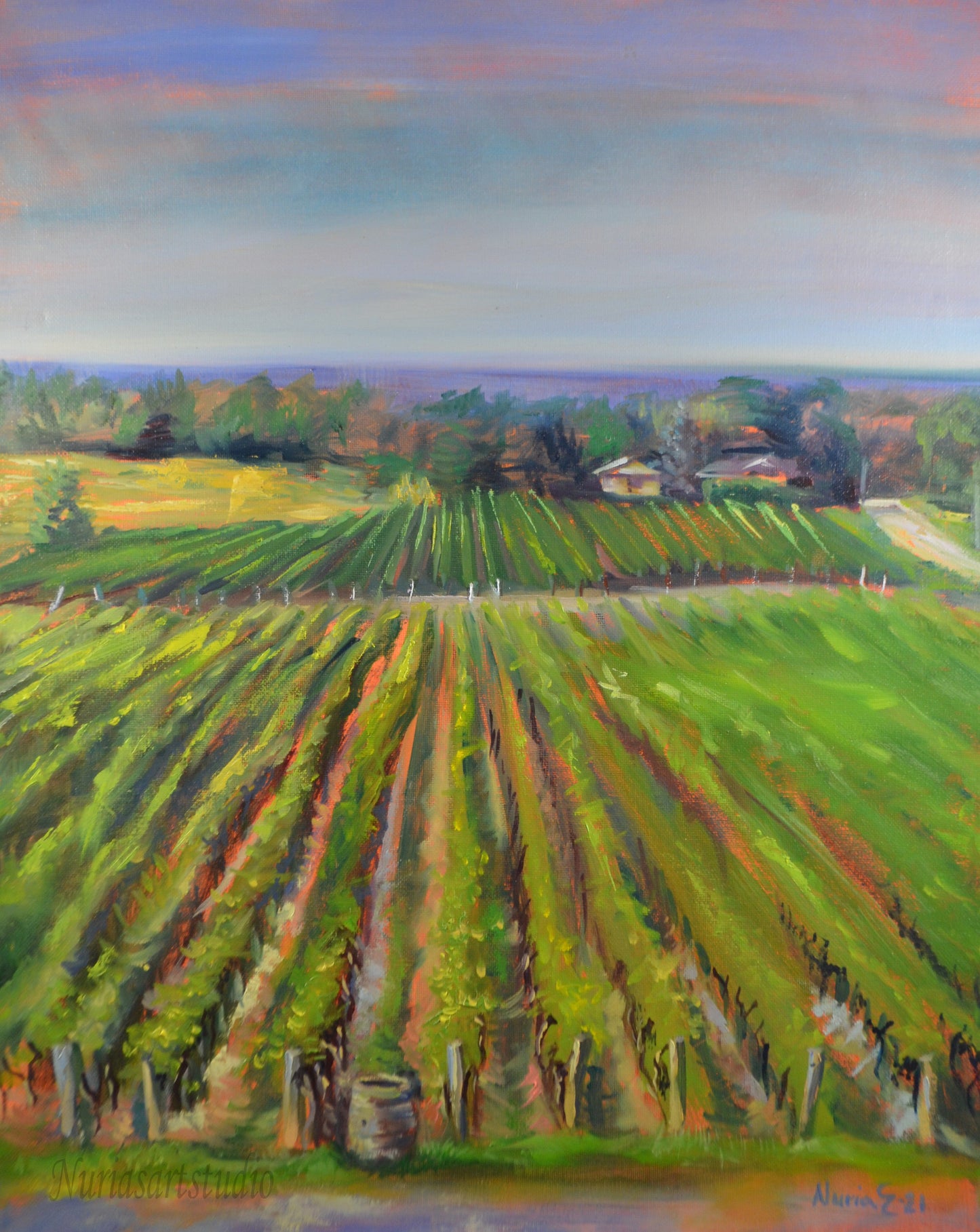 Niagara peninsula
