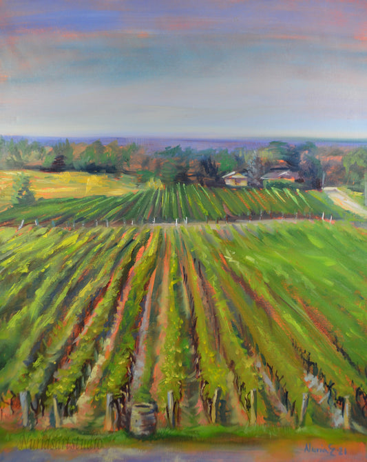 Niagara peninsula