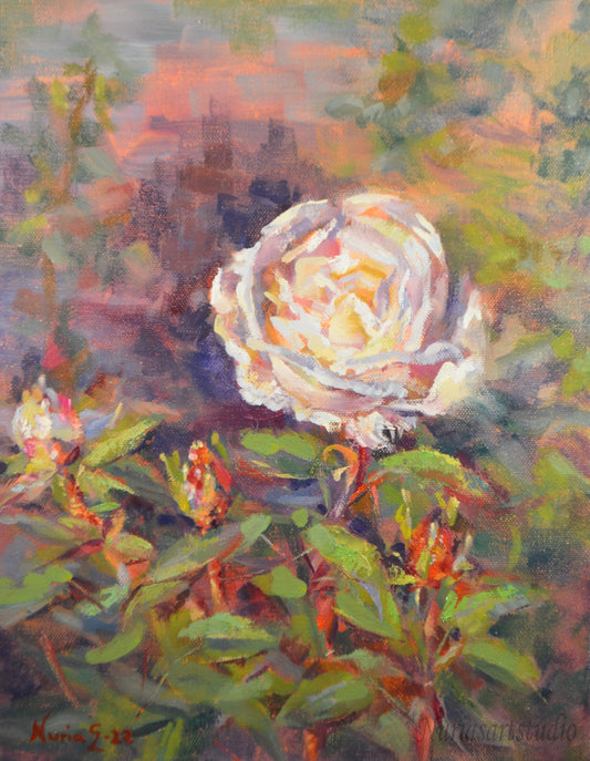 Rosa Blanca