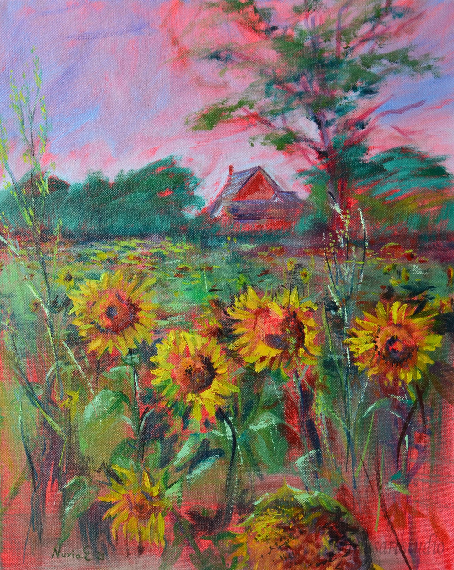 Sunflower field