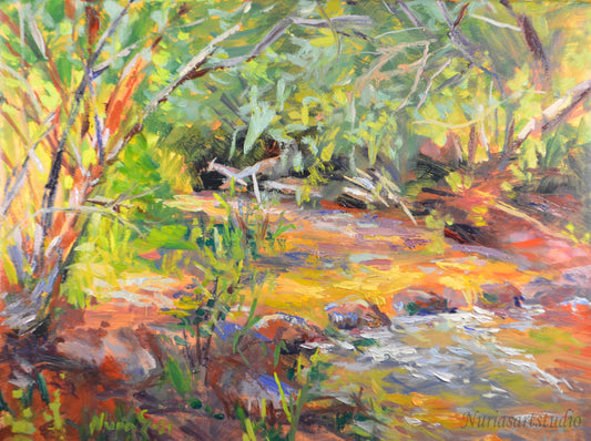 The stream