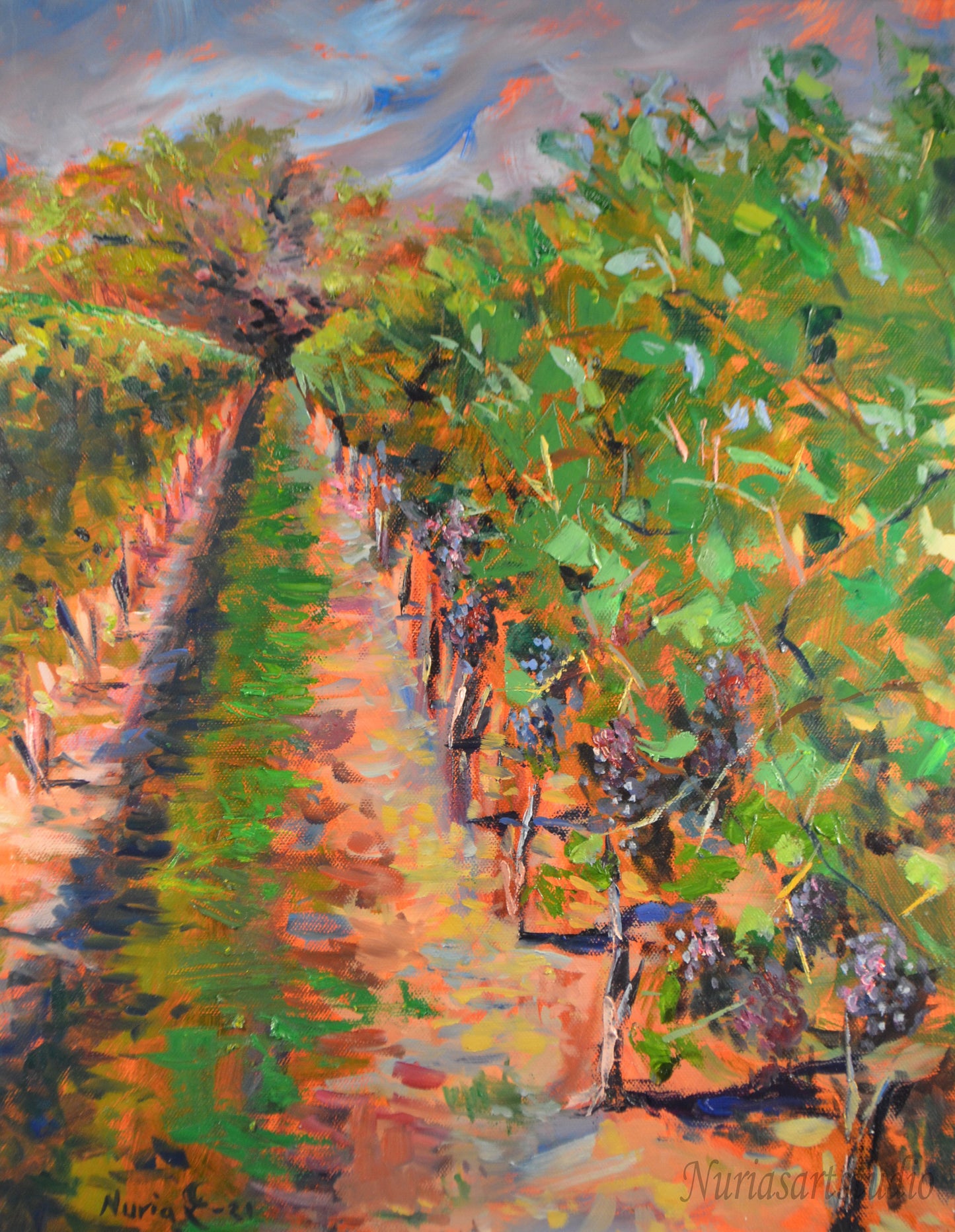 Vineyard