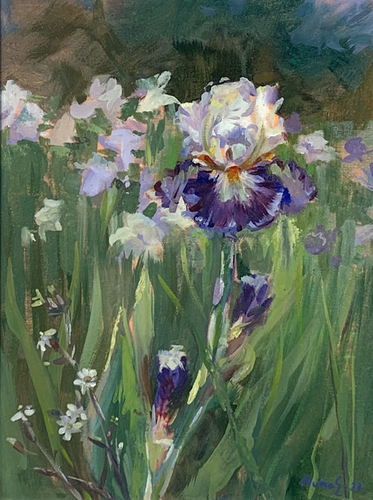 Dorothy Iris