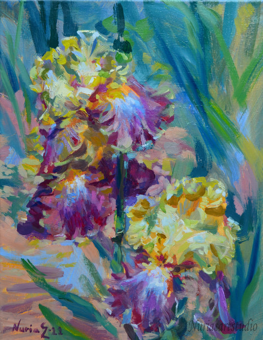 Delicate Irises