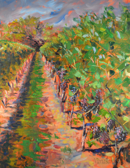 Vineyard